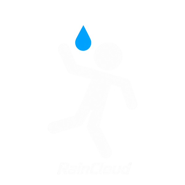 RainCloud Studios